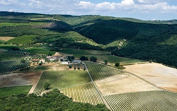 altri vigneti azienda Fattoi