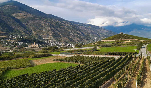 Vista sui vigneti di Aymaville