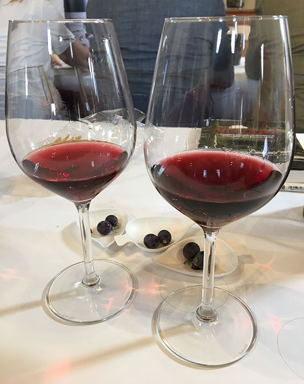 Bertani calici di vino