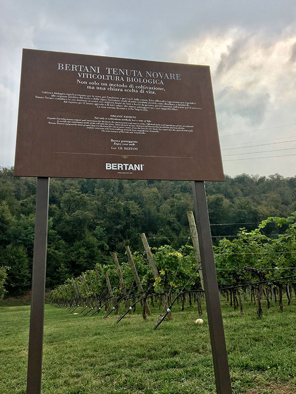 Bertani cartello viticoltura biologica