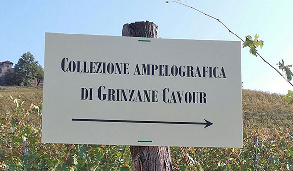 cartello collezione ampelografica di Grinzane Cavour