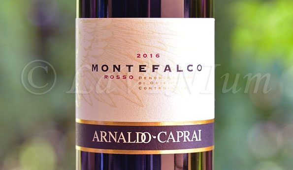 Montefalco Rosso 2016 Arnaldo Caprai