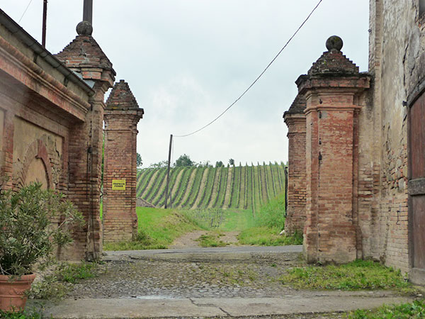 entrata azienda Montelio