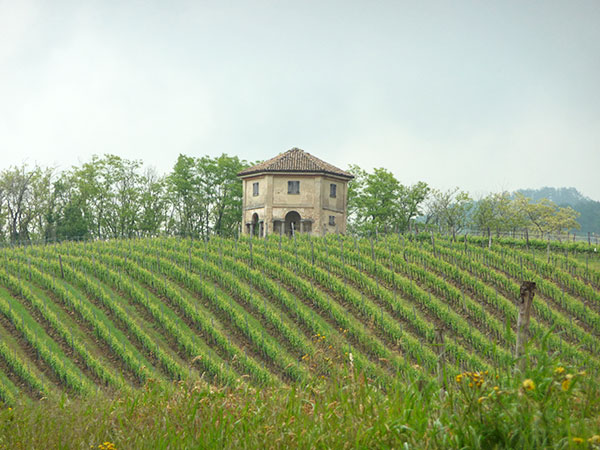 azienda Montelio