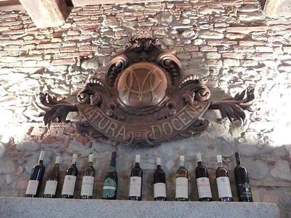 stemma azienda Montelio