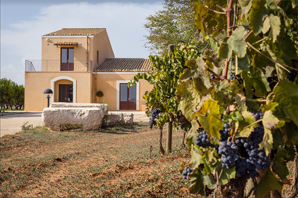 Azienda agricola Santa Tresa