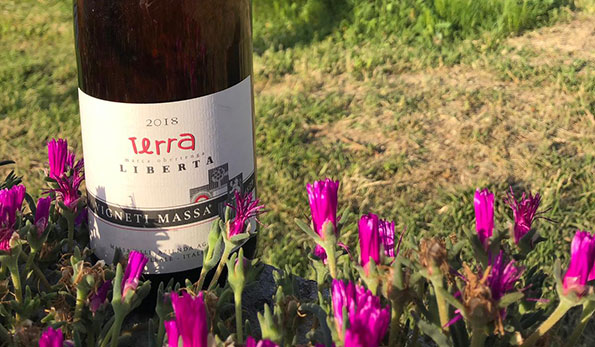 Terra Libertà 2018 Vigneti Massa