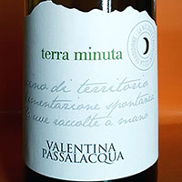 Terra minuta 2017 Valentina Passalacqua