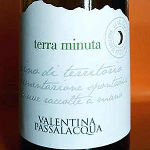 Terra minuta 2017 Valentina Passalacqua