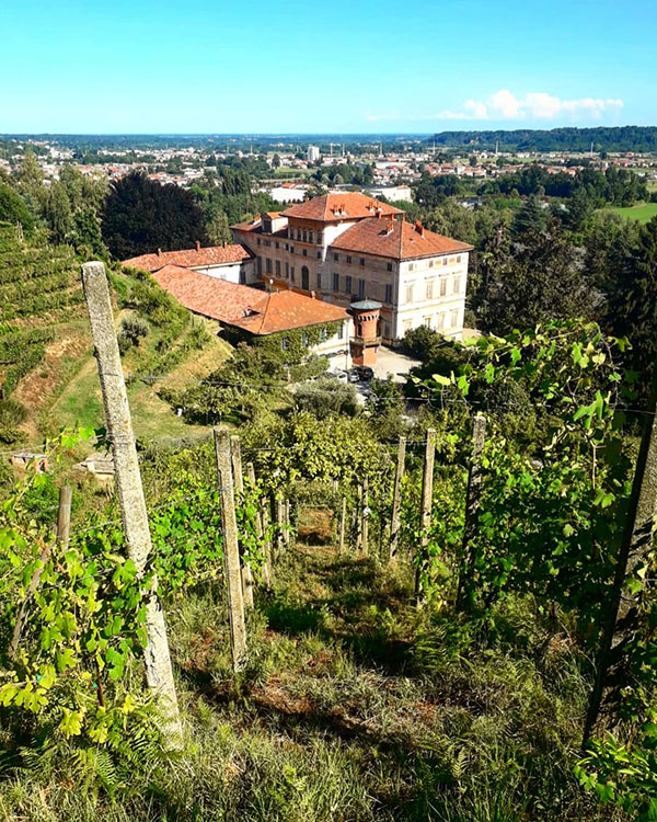 vigna del Vino del Sorriso