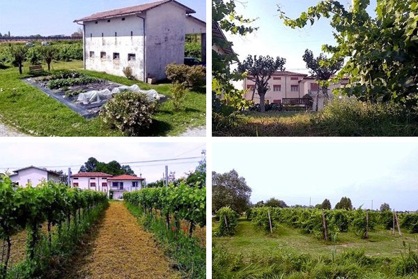 Società Agricola Le Crede