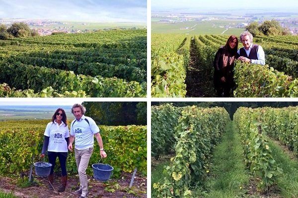 Champagne Encry Veuve Blanche Estelle