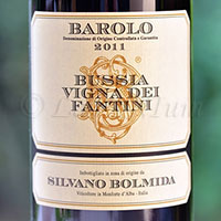 Barolo Bussia Vigna dei Fantini 2011 Silvano Bolmida