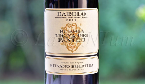 Barolo Bussia Vigna dei Fantini 2011 Silvano Bolmida