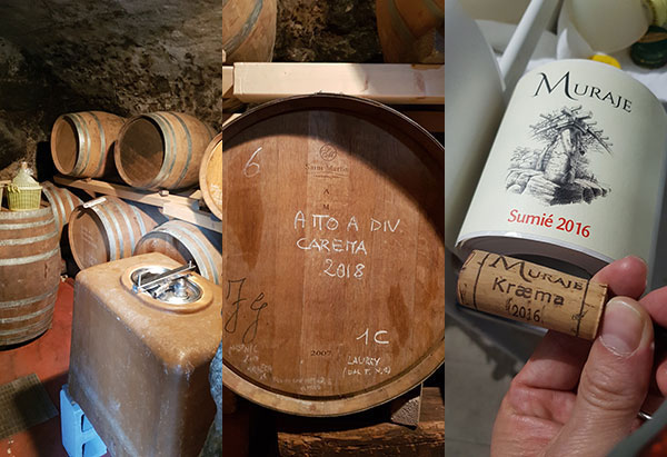 La cantina, gli assaggi dalla botte, il Sumié 2016