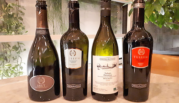 I vini di Feudo Antico