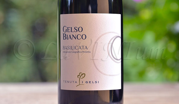 Gelso Bianco 2018 Tenuta I Gelsi
