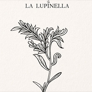 logo La Lupinella