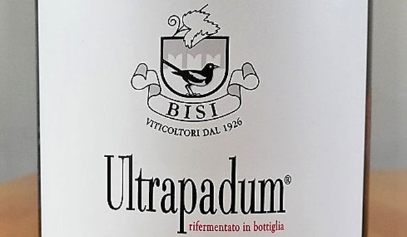 Ultrapadum 2017 Bisi