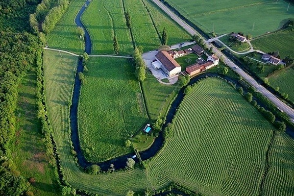 Vigneti della Musella