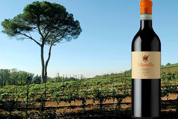 Valpolicella Superiore Ripasso 2016