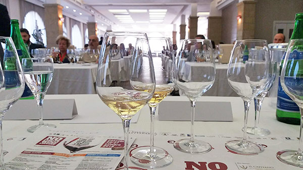 calici vini Campi Flegrei