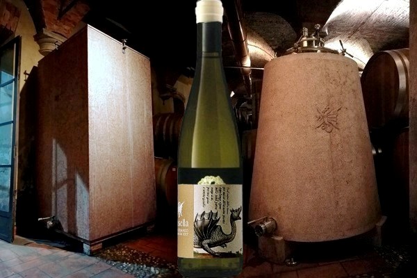 Drago Bianco Garganega 2017