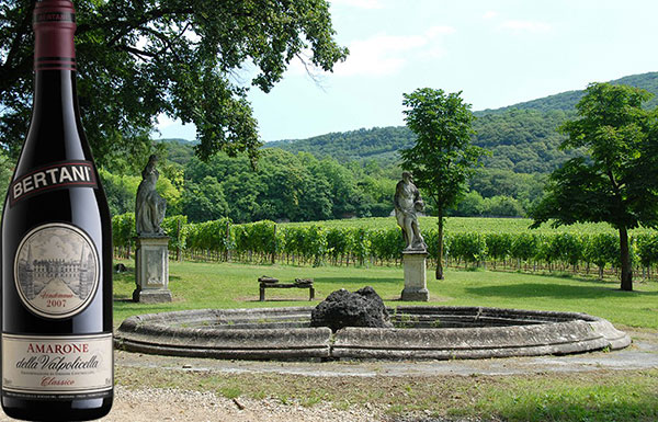 Amarone della Valpolicella Classico 2007 Bertani