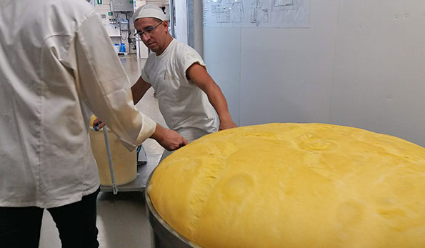 Il lievito madre vivo