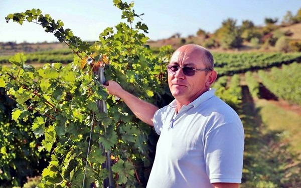 L'enologo Aurel Rotărescu