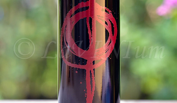 Barbera d’Asti Superiore Passum 2016 Cascina Castlèt