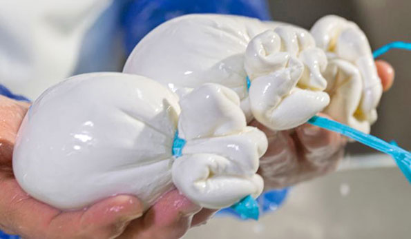 Burrata di Andria (fonte ONAF)