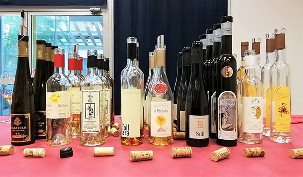 Colli Piacentini in degustazione