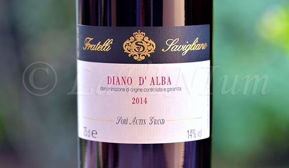 Diano d’Alba Sorì Autin Grand 2004 Fratelli Savigliano