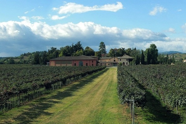 vigneti tenuta Chiarli