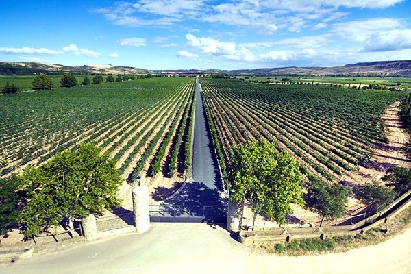 Bodegas Barón de Ley