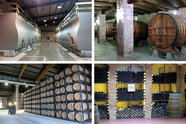 Bodegas Barón de Ley