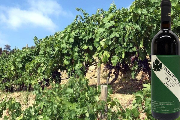 Dolceacqua Posaù 2017 Maccario Dringenberg