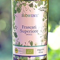 Frascati Superiore Biowine Crio 12 2018 Cantine San Marco