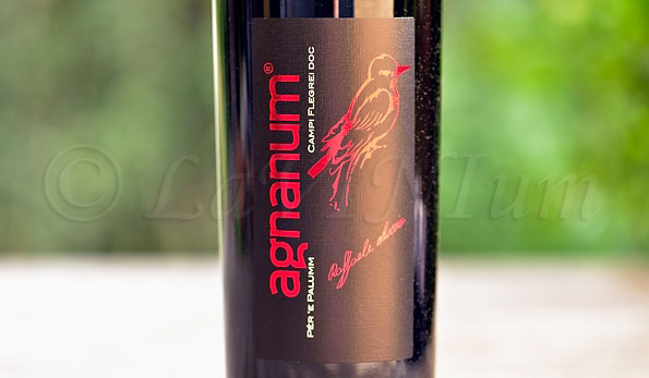 Campi Flegrei Pèr ‘e Palumm 2018 Agnanum