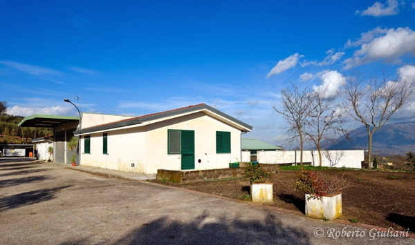 Fattoria Selvanova: la cantina