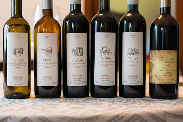 I vini di Francesco Brigatti