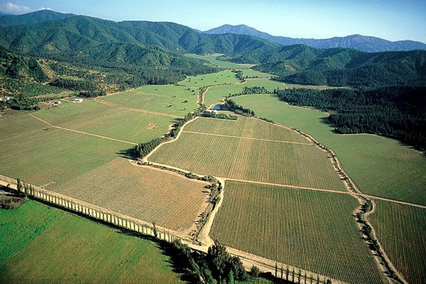 Concha y Toro vineyards