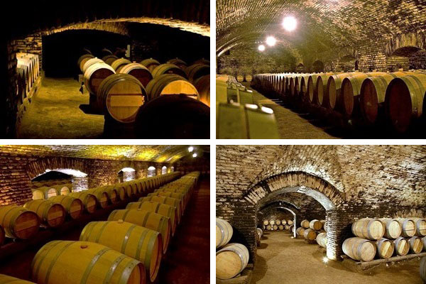 Concha y Toro barrels