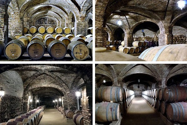 Viña Santa Rita cantina