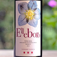 Elleboro Bianco 2018 Podere Conca