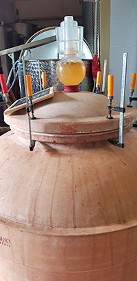 Cappella Sant'Andrea, anfora