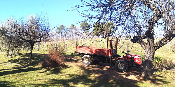 Azienda Monterotondo