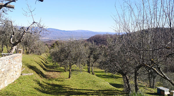 panorama dall'azienda Monterotondo