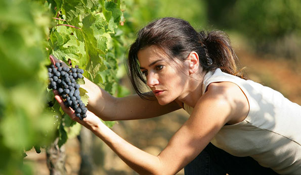Vino Sostantivo Femminile